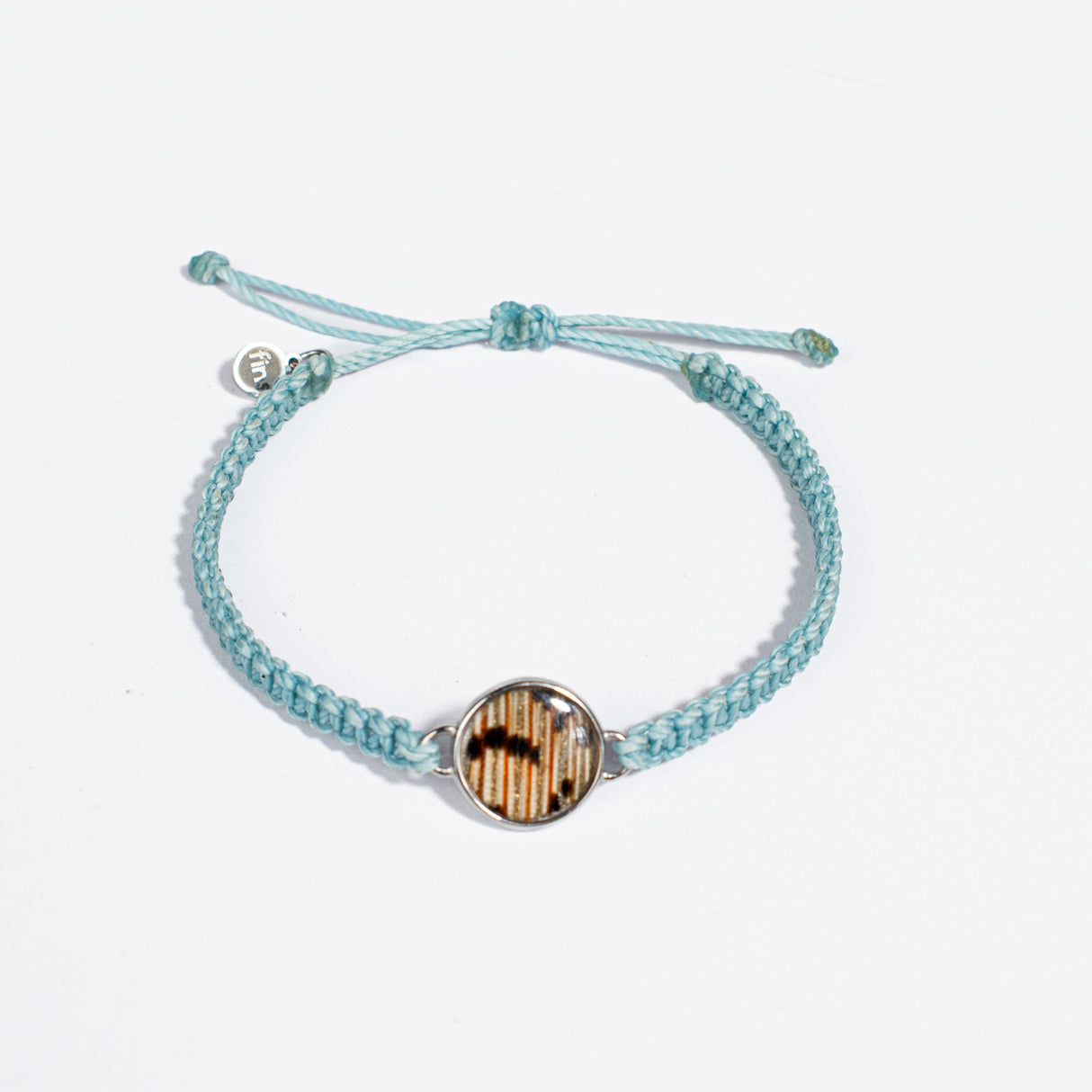 Bottlenose Dolphin Bracelet