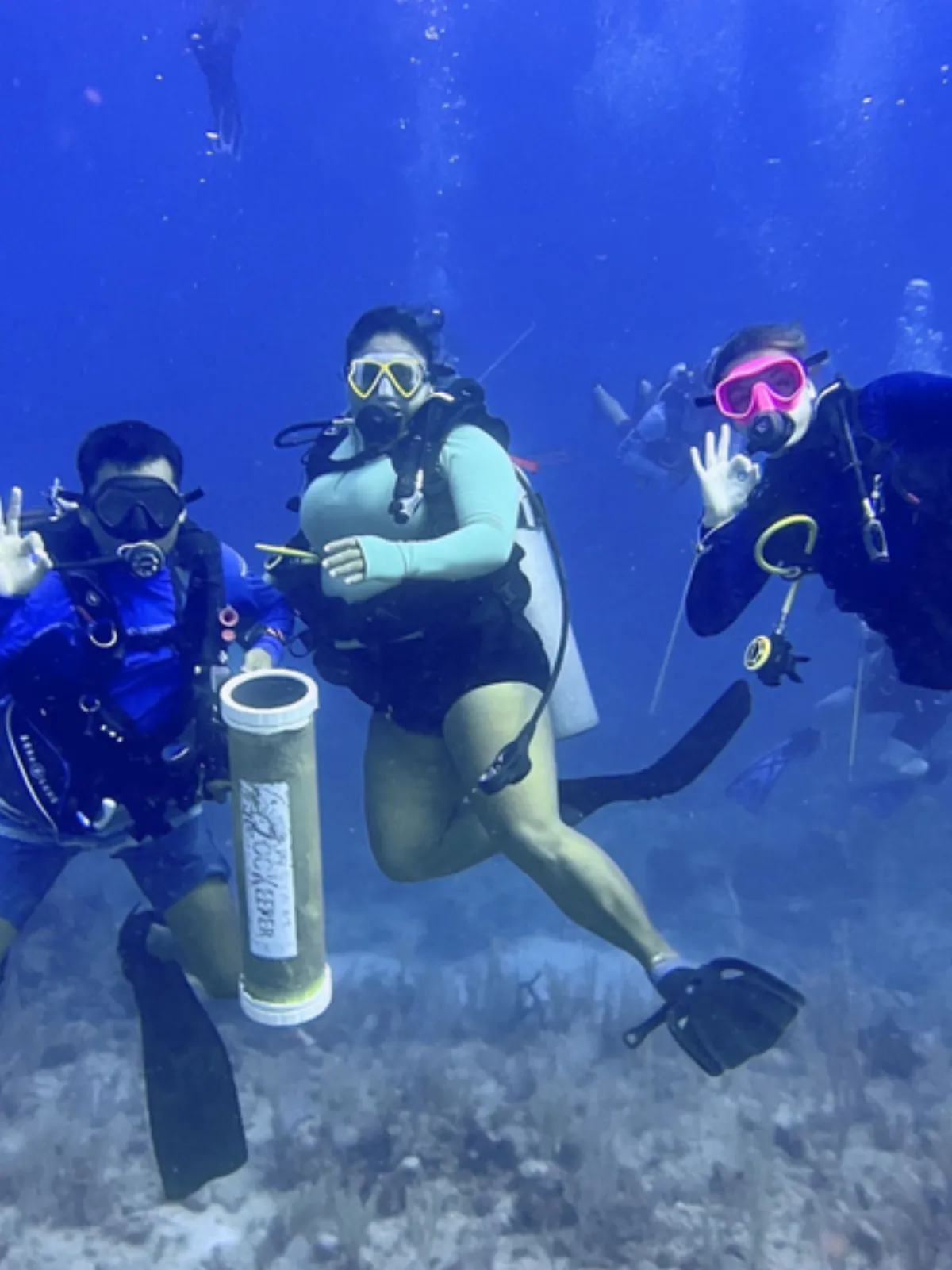 Divers on the reef