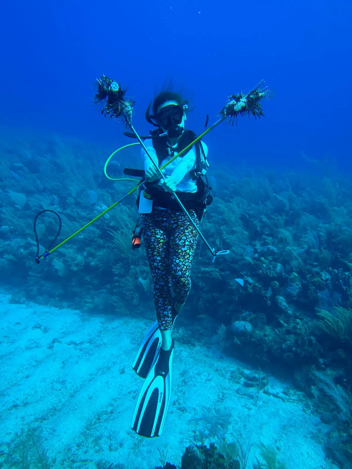 A diver descending over seagrass