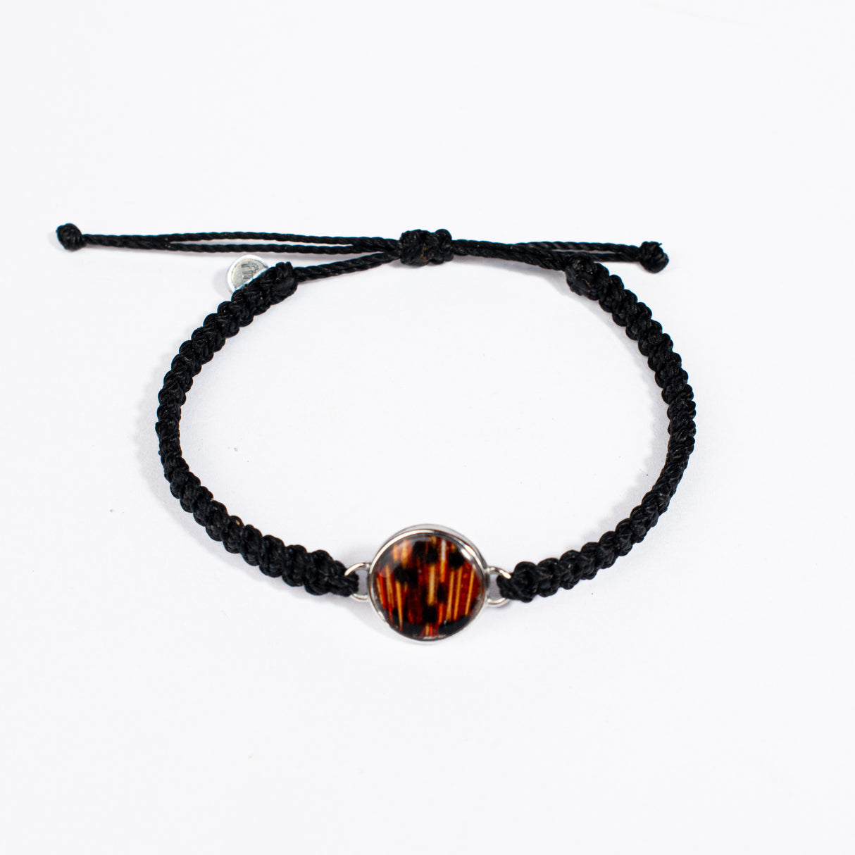 Spotted Moray Eel Bracelet