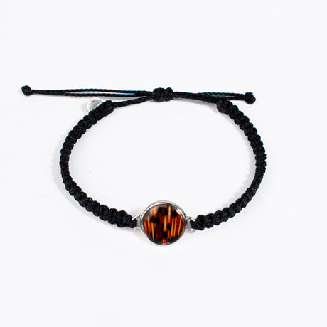 Spotted Moray Eel Bracelet