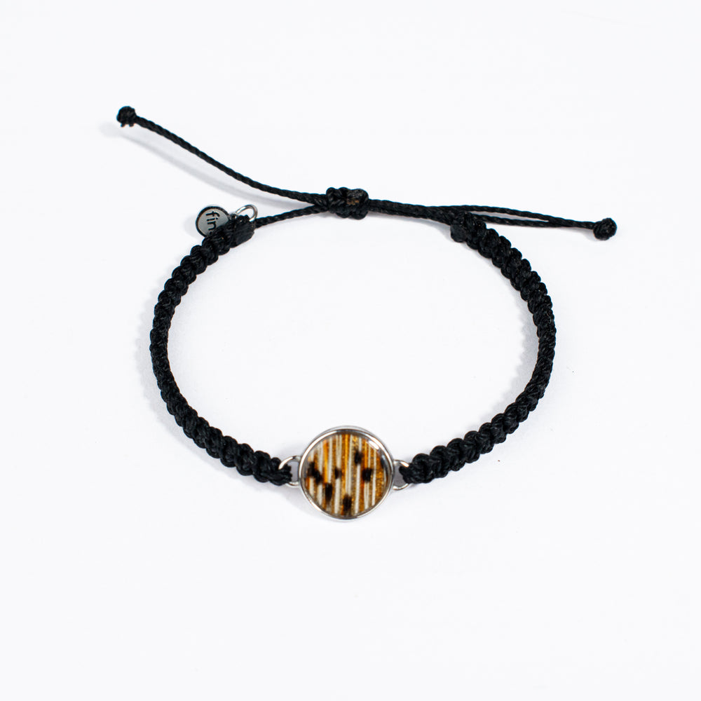 Spotted Moray Eel Bracelet