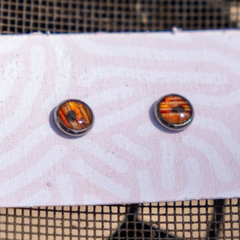 Lionfish fin earrings set in stainless steel