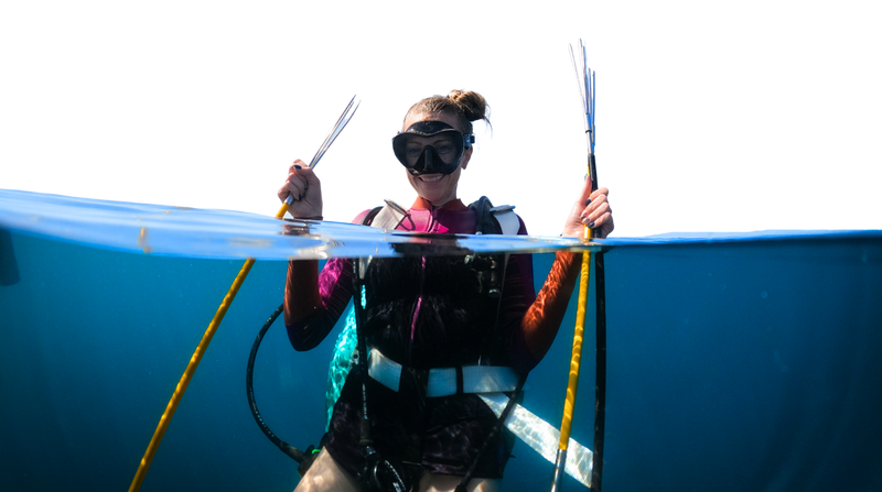 FINS Belize diver holding lionfish spears to remove invasive lionfish from the ocean to make handcrafted lionfish jewelry and support ocean conservation