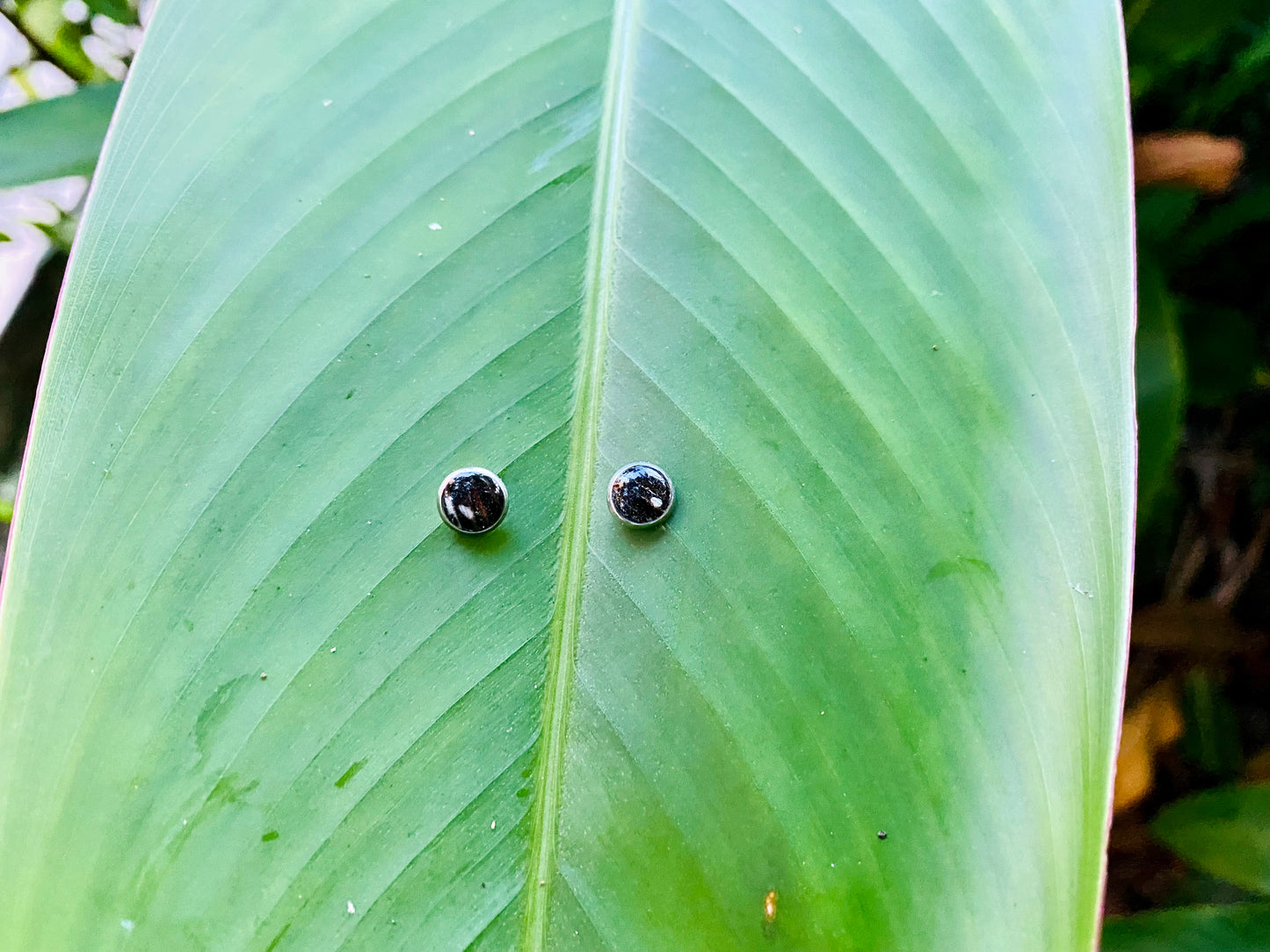 Circle Stud Earrings